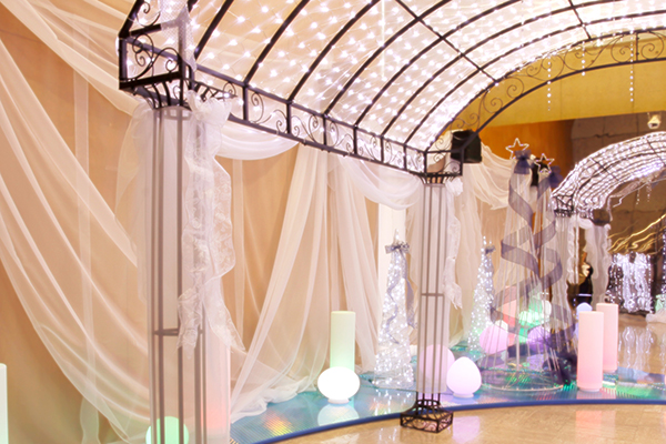 シフォンプラス