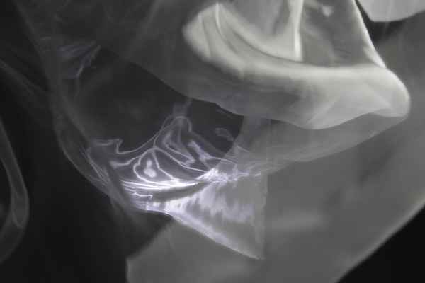 シフォンプラス